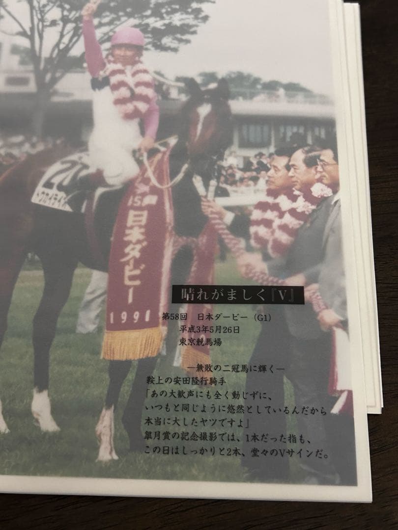 さらば奇跡よトウカイテイオ－引退記念報道写真集限定保存版