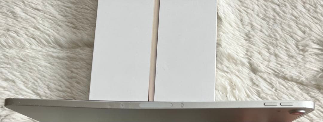 【1台限定特別価格】iPad Pro 11インチ 第1世代64GB 【すぐ発送】