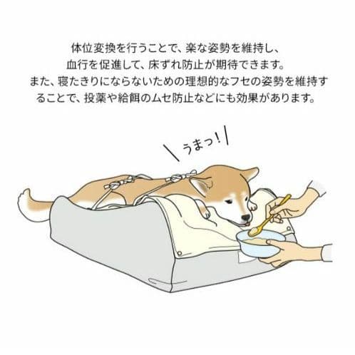 介護用ドッグベッド　XLサイズ　犬用　クッション　エムール　新品未使用　ねどっこ