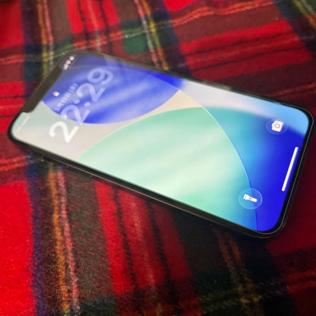 Apple iPhone 12 Pro グラファイト 256GB SIMフリー