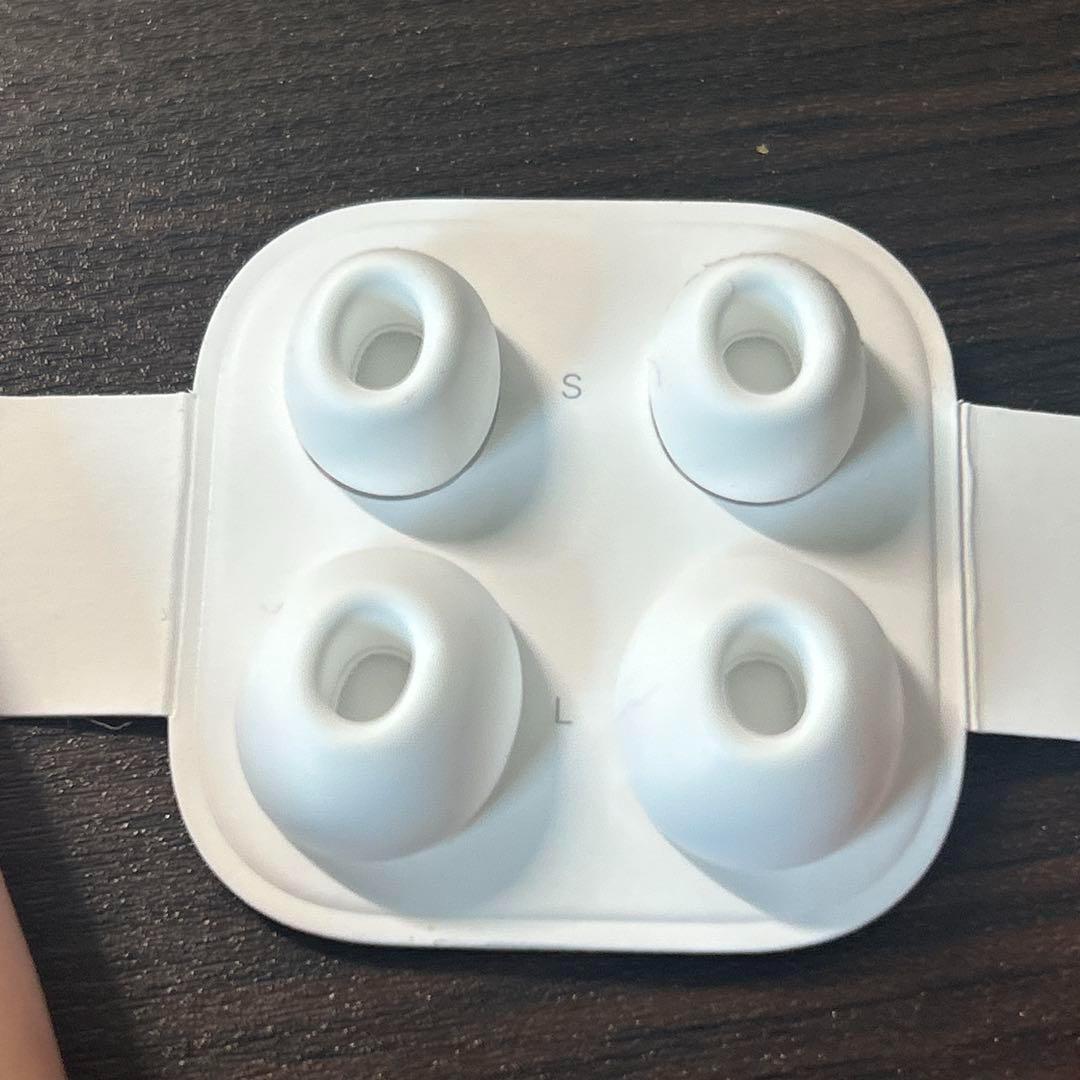 AirPods Pro 第一世代 右耳ノイズ