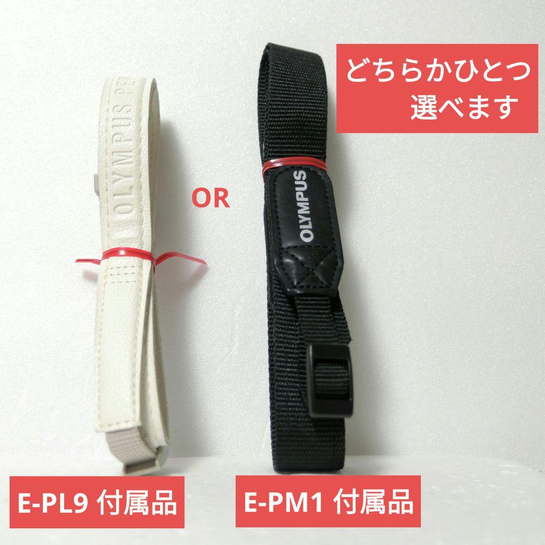 【ストラップ選択可能】オリンパス　ペンミニ　E-PM1　総ショット数開示