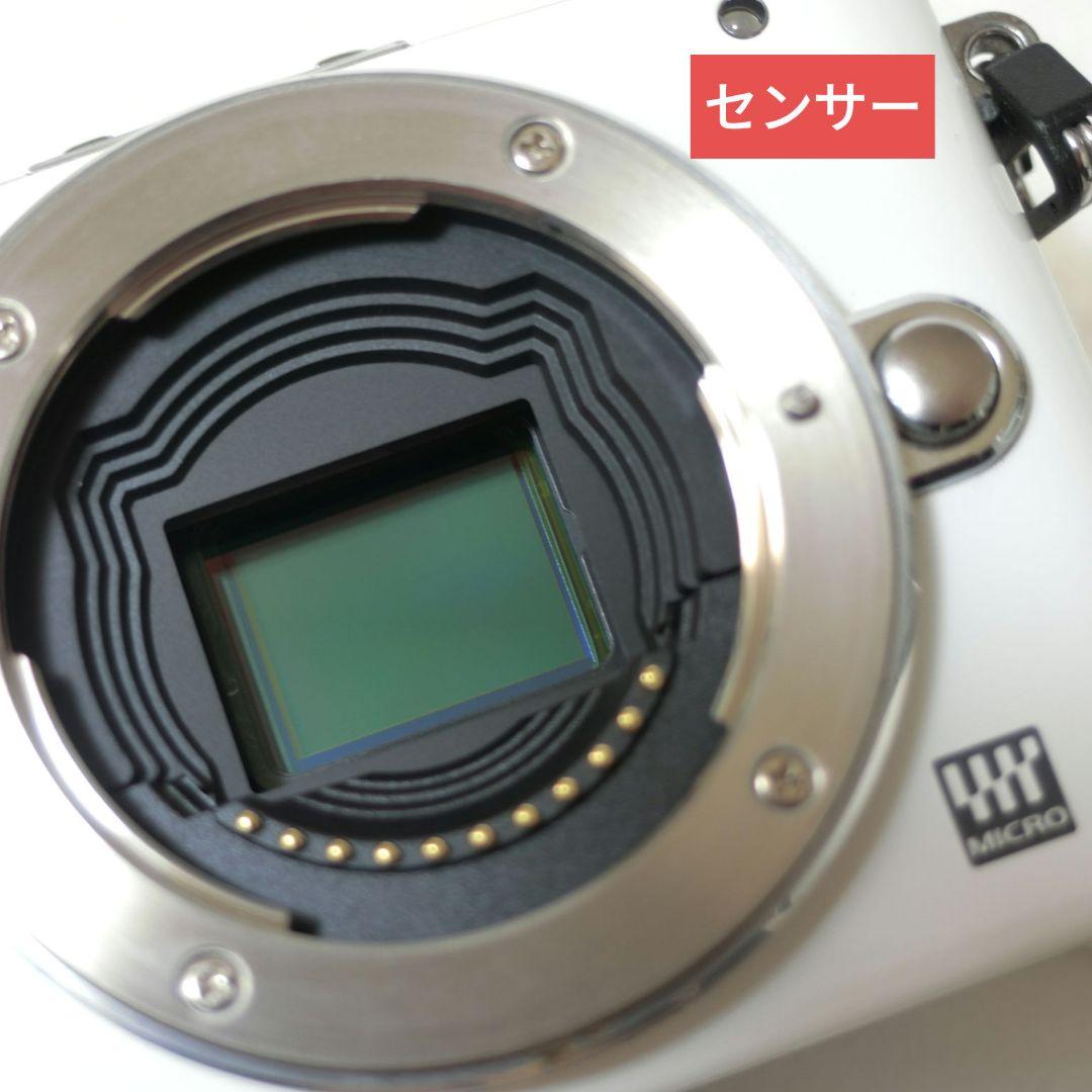 【ストラップ選択可能】オリンパス　ペンミニ　E-PM1　総ショット数開示