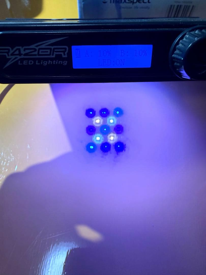 Maxspect R420R-60W（通常品＋訳あり品）2台セット