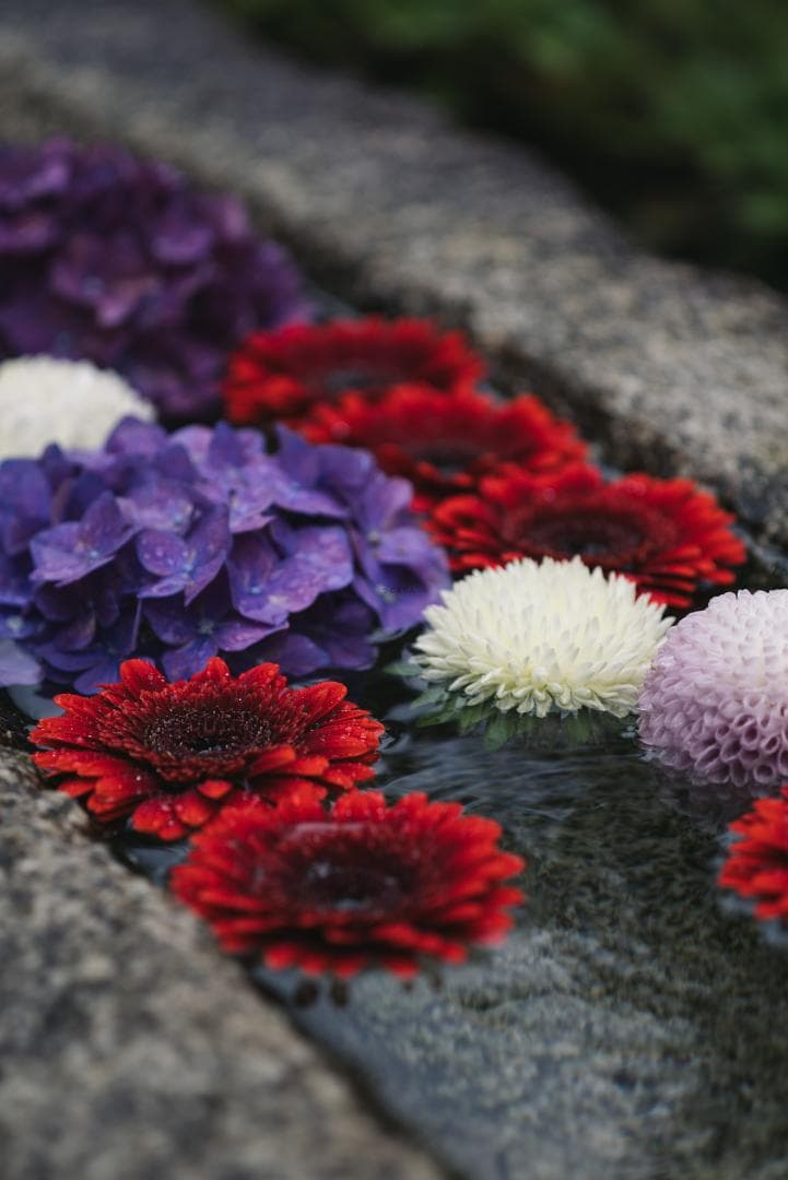 そこつや様　希少な3枚玉！Leica Elmar 90mm F4 Triplet