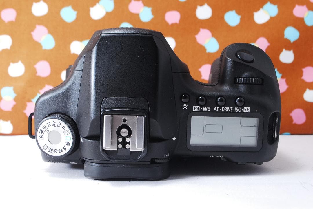 ✨初心者おすすめ✨シャッター数3039回✨Canon 50D レンズセット
