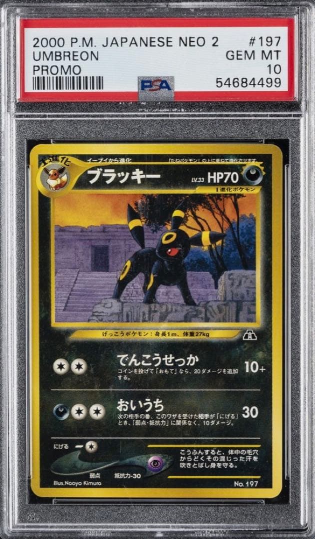 ポケカ　旧裏　プレミアムファイル2 neo ブラッキー　エーフィ　psa10