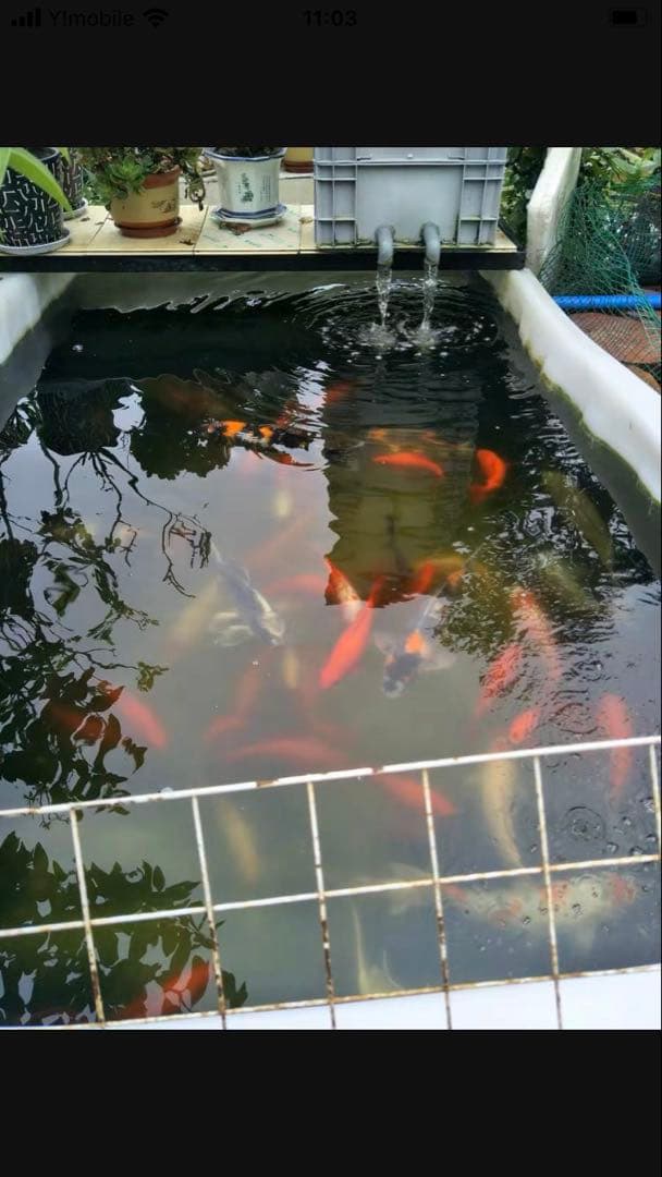 濾過器 1段階ろ材満タン付き三段式万能濾池大型水槽濾過層 フィルター送料込み