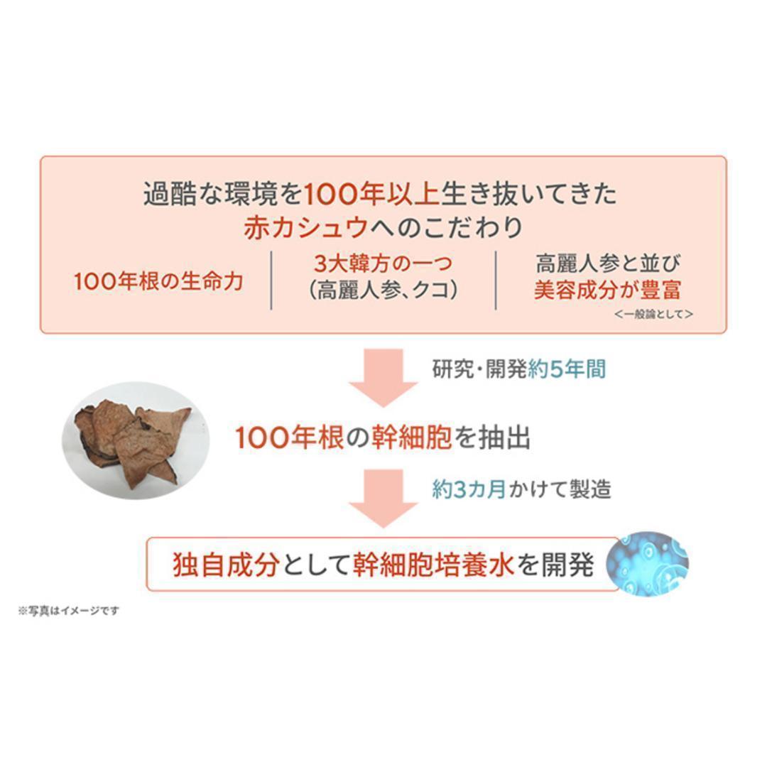 サイムダンプレミアム ファーストクラス 美容液化粧水130ml2本セット