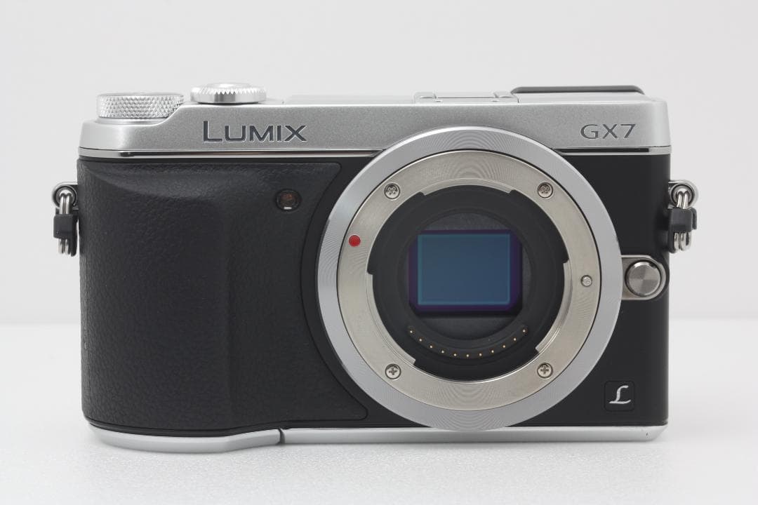 Panasonic LUMIX GX7 ボディ 完動品 付属品多数 #259a