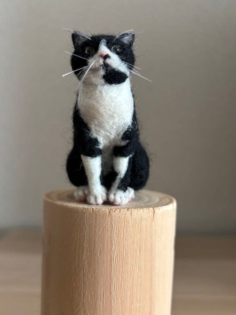 羊毛フェルト 猫 ハチワレ