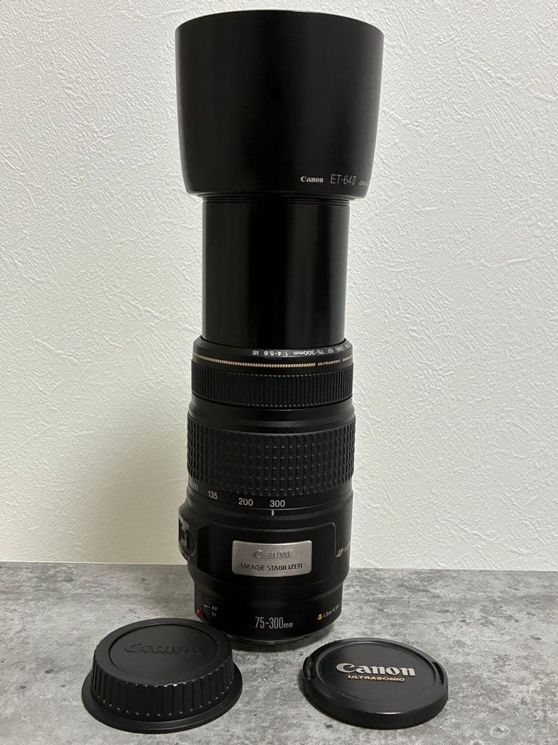 ⭐️完動品⭐️キャノンCanon EF 75-300mm F4-5.6 IS USM