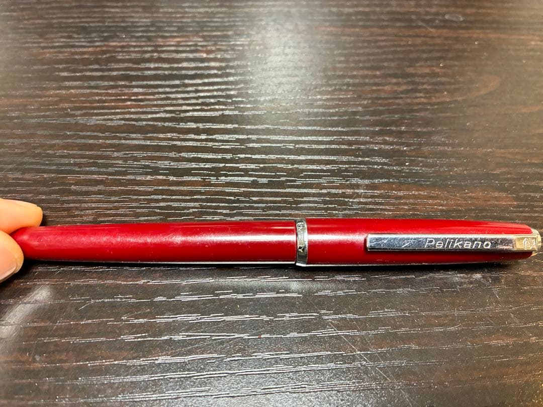 万年筆　ボールペン　計6本セット(pilot、pelikanoなど) ケース付き