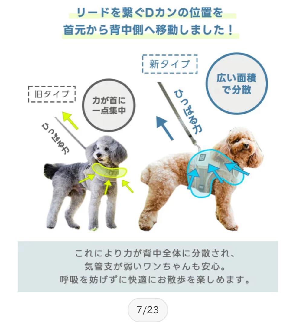 RADICA ハーネス 保冷剤ポケット付サイズM ２枚組　 簡単装着 抜けにくい