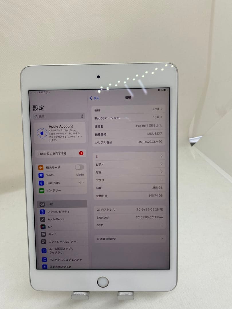 iPad mini 5 256GB 本体　GLM9C
