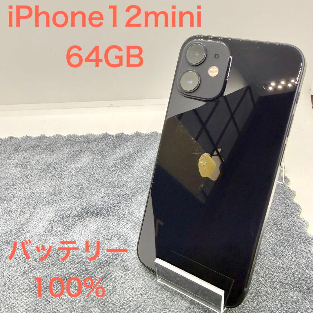 ⭐️バッテリー100%⭐️iPhone 12 mini ブラック 送料無料　64GB
