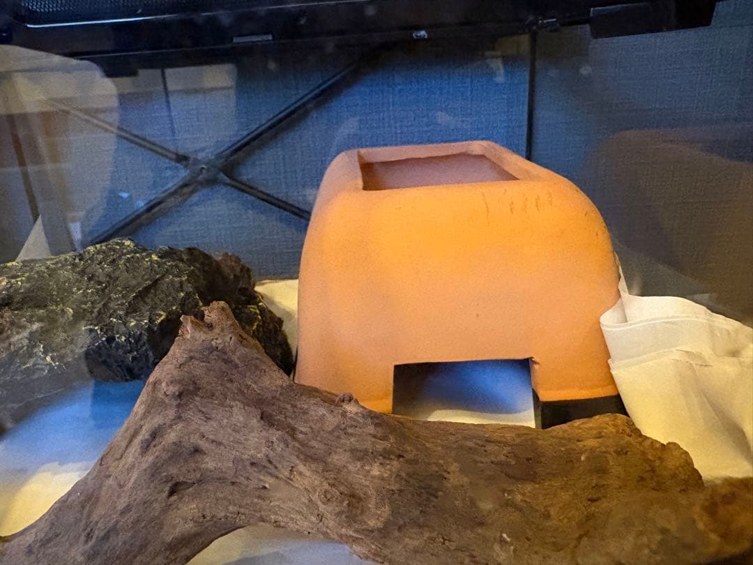爬虫類飼育ゲージセット　9点セット　ヒョウモントカゲモドキ　レオパードゲッコー