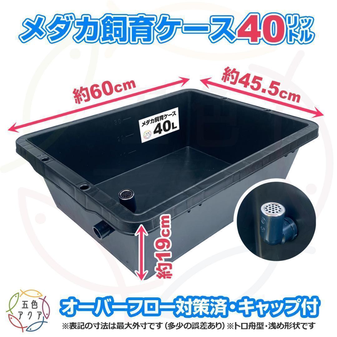 メダカ飼育ケース 40㍑x4個 トロ舟型オーバーフロー対策済 ビオトープ 金魚