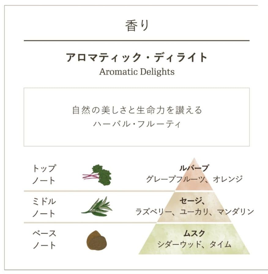 SABON アロマティック·ディライツ　ギフトセット未使用
