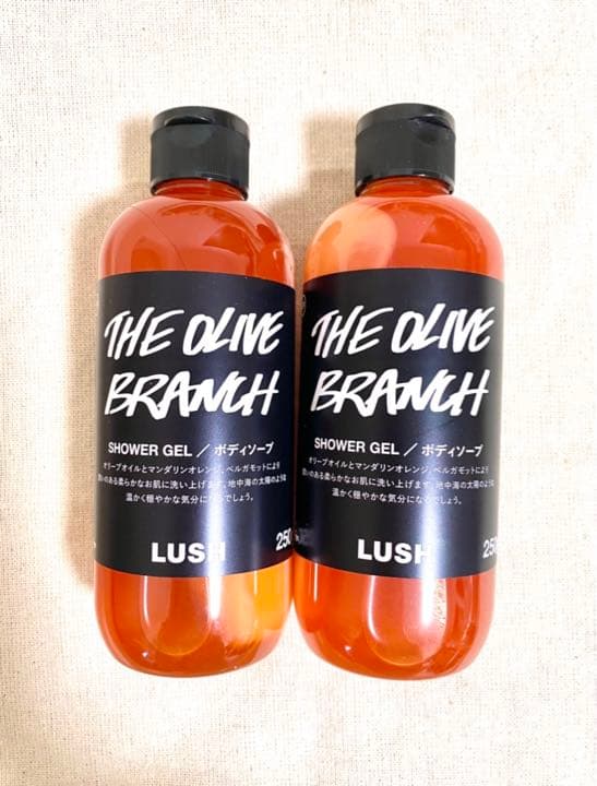 ＬＵＳＨ　ラッシュ　シャワージェル　ボディソープ　２５０ｇ　２個セット　新品