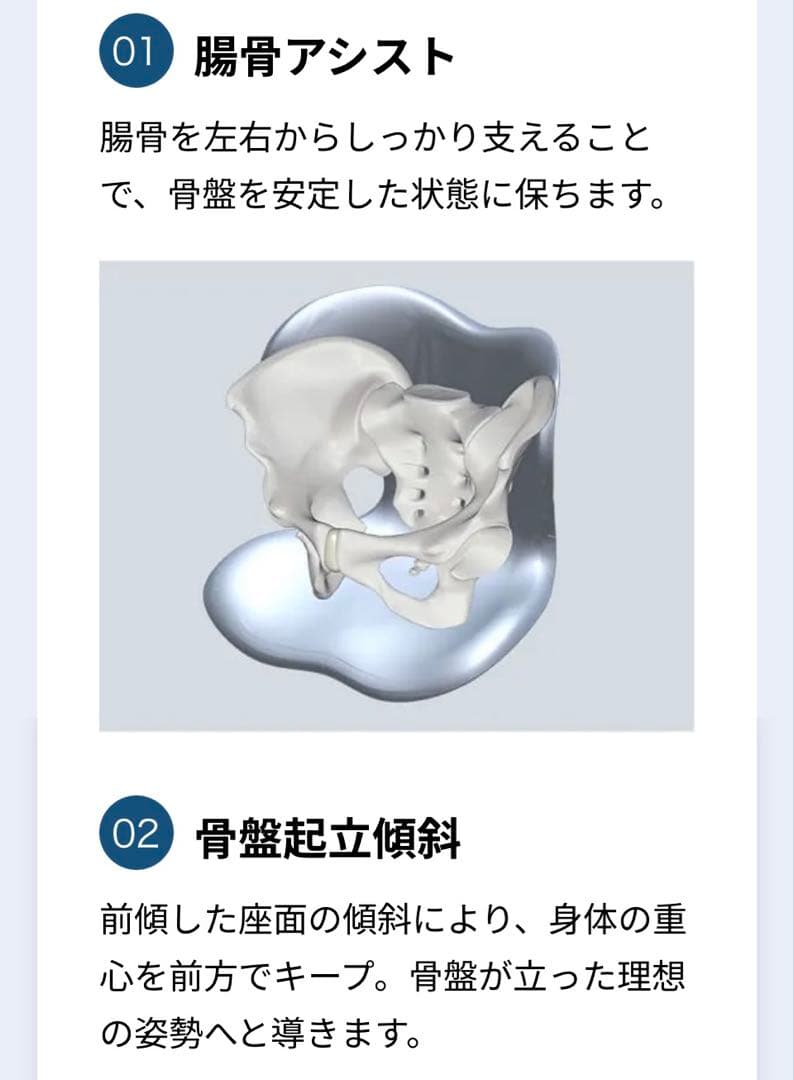 ☆美品☆MTG Style SMART スタイルスマート骨盤チェア 骨盤矯正BR