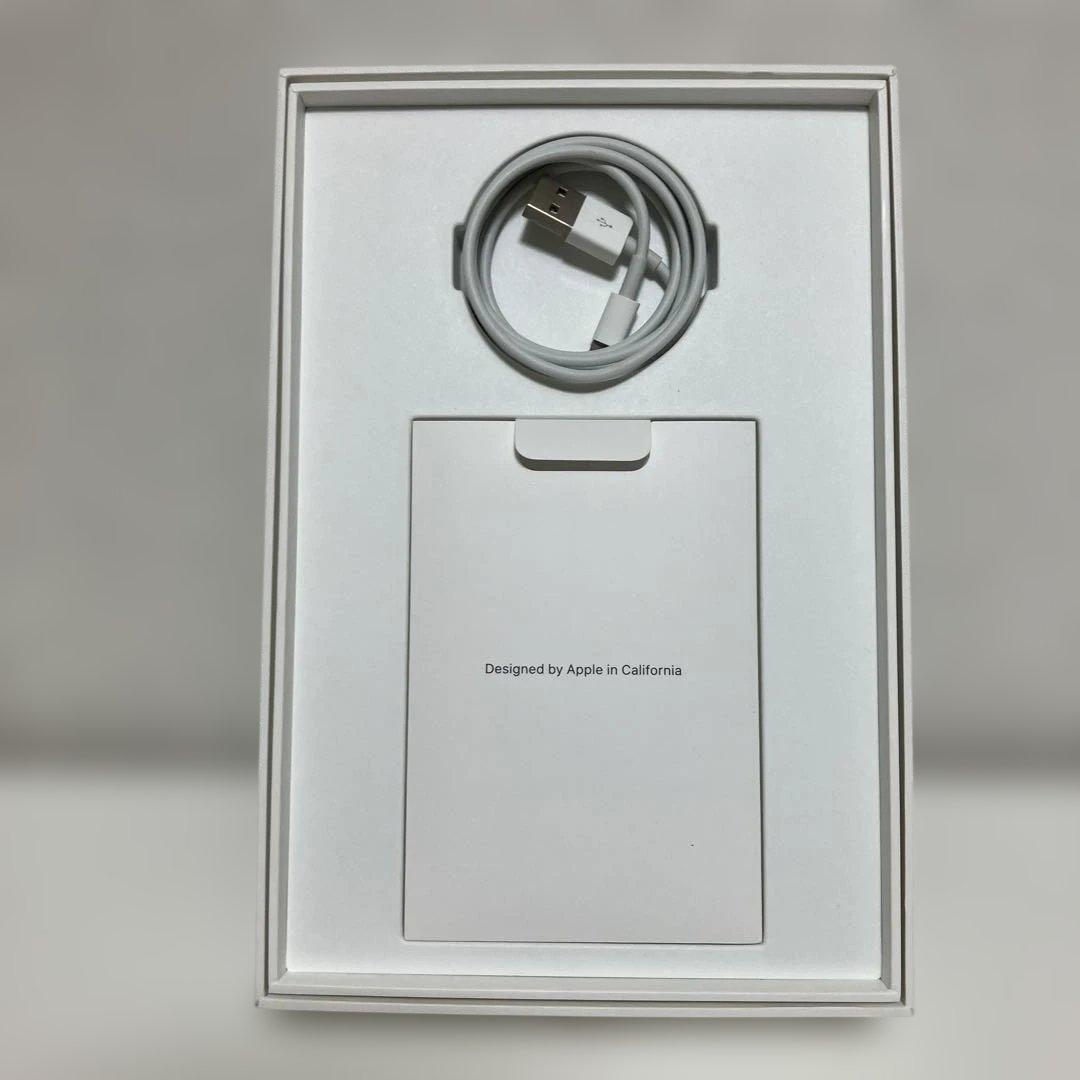 iPad mini 【第5世代】ローズゴールド 本体