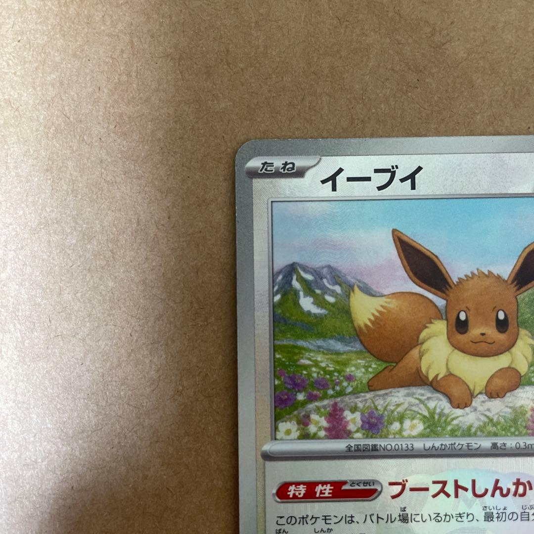 ポケモンカード　リーフィアex sar イーブイマスボミラー テラスタルフェス