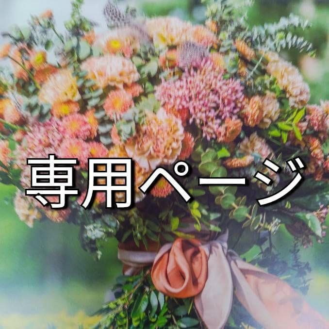 新品未開封品！　リサージコラゲリードSP レフィル　2点セット