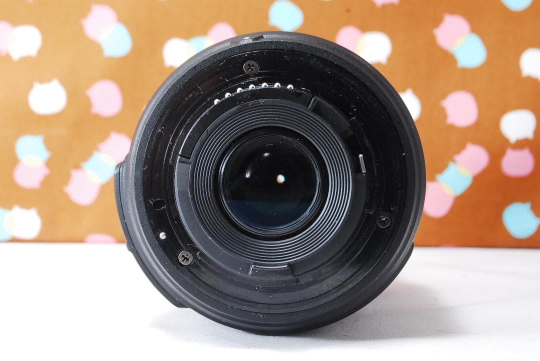 ✨お買い得✨初心者オススメ✨Nikon D3100 レンズセット