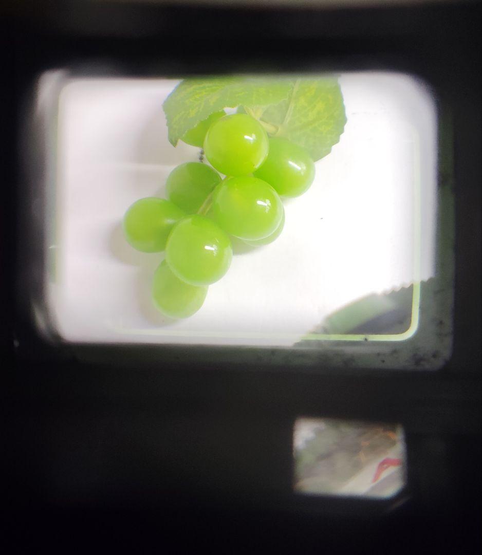 OLYMPUS　TRIP35（動作品）
