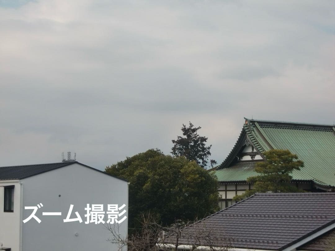 実写美⭕️【動作確認済】CASIO　EXILIM　ZOOM EX-Z450
