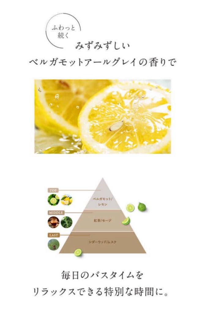 ココネ　cocone クリームシャンプー本体1本&詰め替え2本 クレイシャンプー