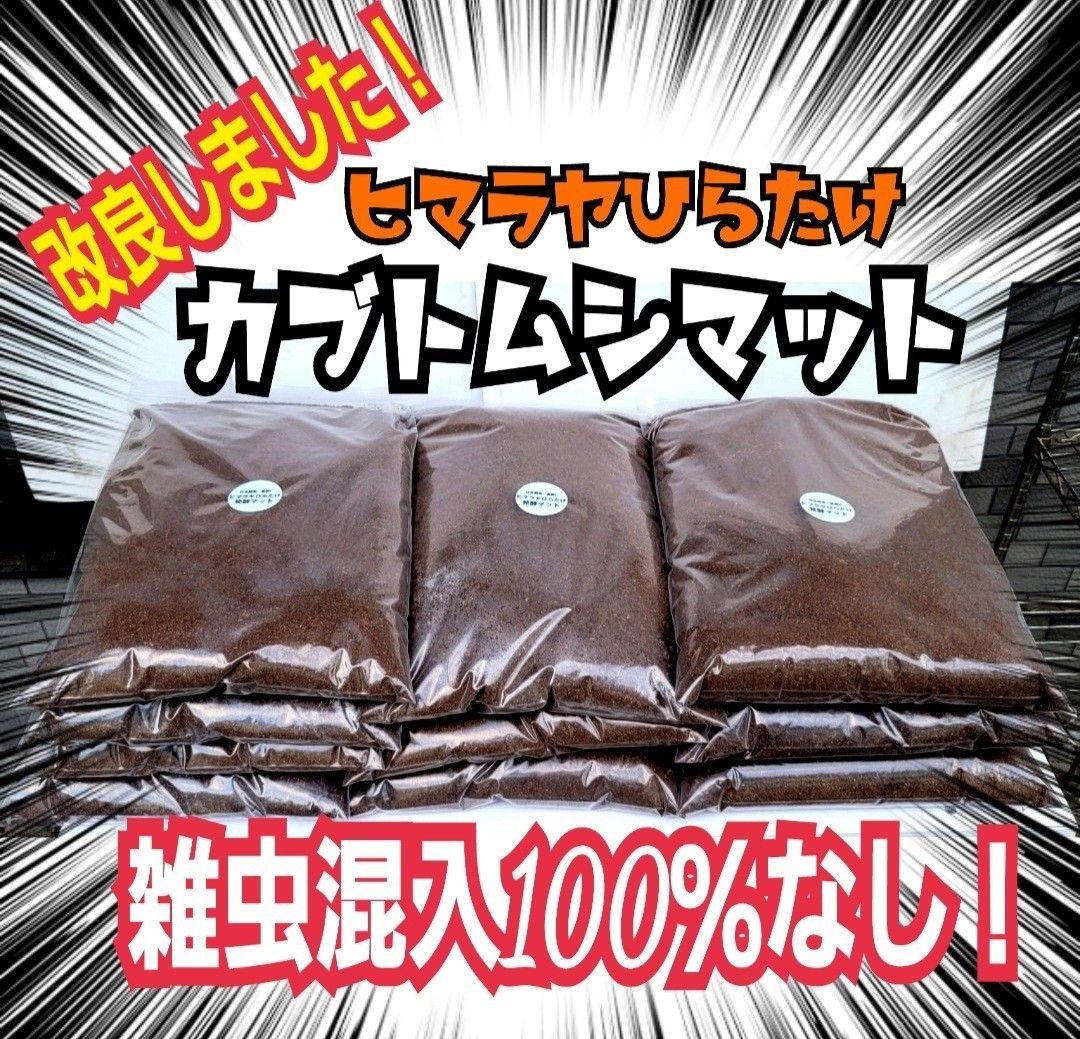 カブトムシ幼虫の餌　大きくなる！発酵マット【6袋】雑虫が湧きません！すぐ使える