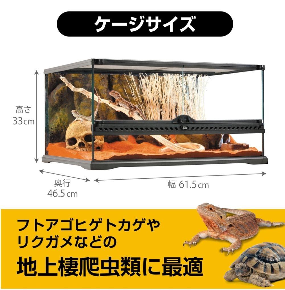 GEX グラステラリウム　フトアゴヒゲトカゲ&リクガメ飼育セット