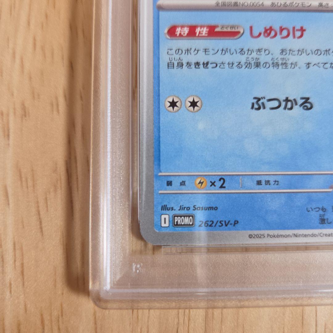 【PSA10】コダック　しめりけ　262/SV-P ジムプロモ　Psyduck