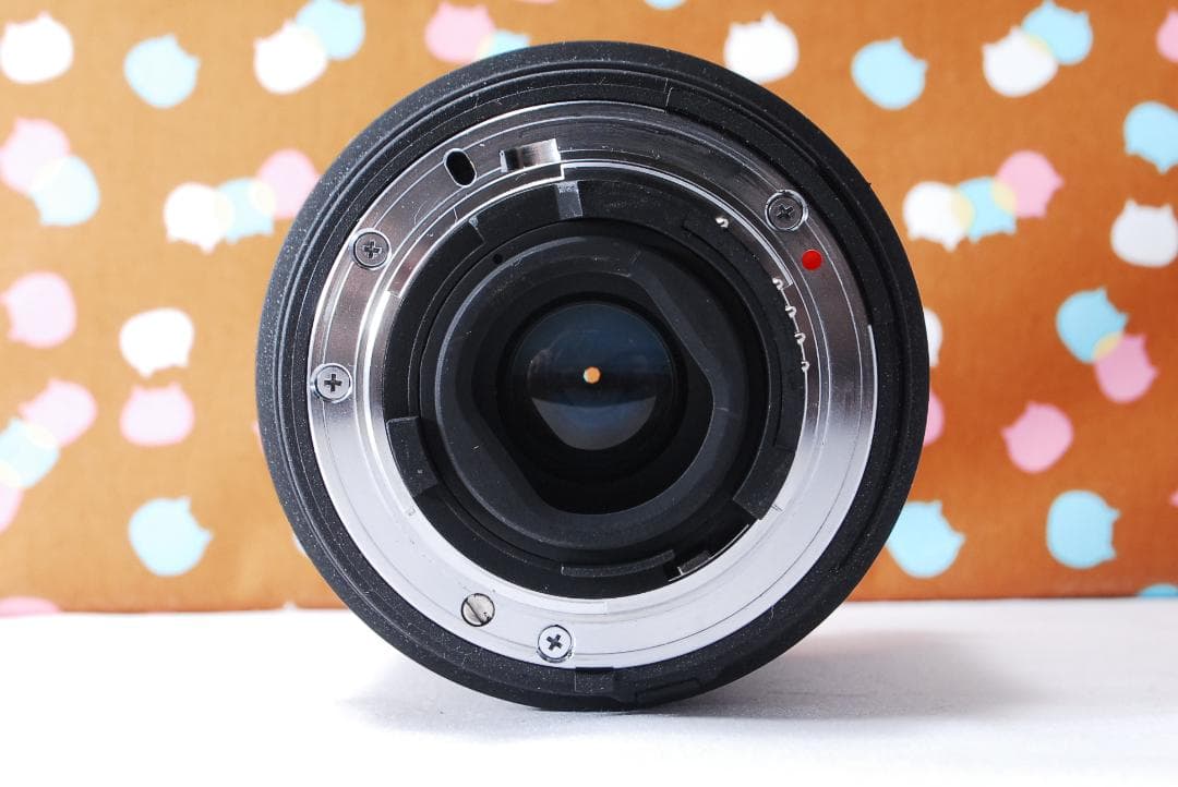 ✨初心者オススメ✨ショット数1820回✨Nikon D70s レンズセット