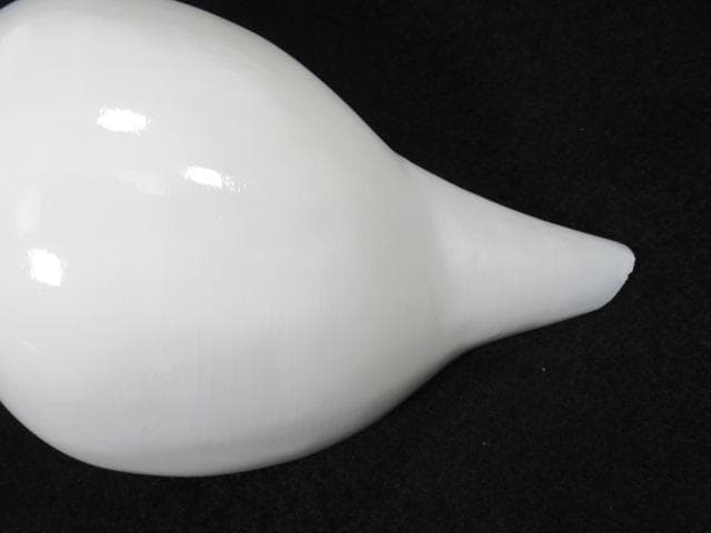 シャンクガイ　法螺貝　20.9cm　インド　No.1629