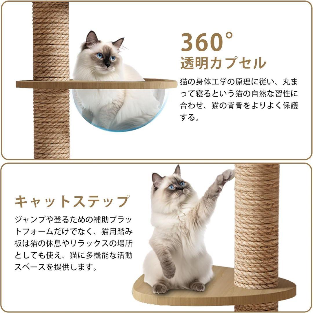 キャットタワー 突っ張り キャットツリー 大型猫用 猫タワー キャットウォーク