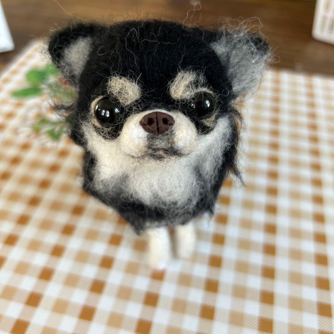 alice... 羊毛フェルト　ブラックタンチワワ　犬