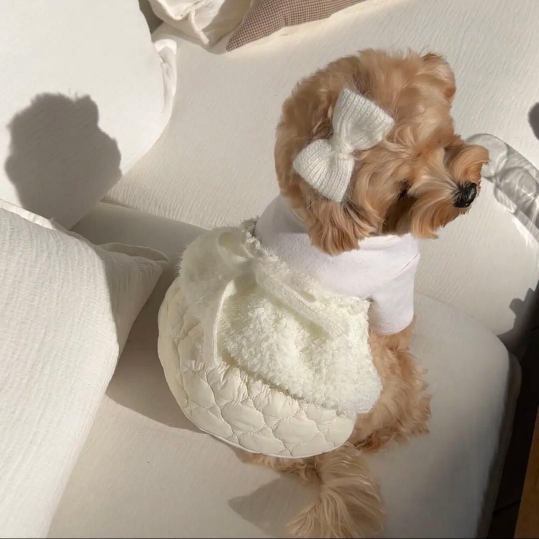 【SICGGE】 Dress SMサイズ 韓国犬服