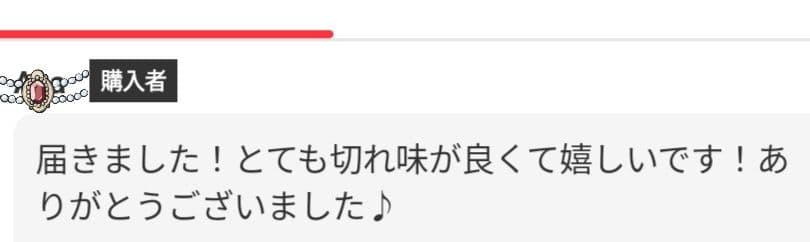 スパスパ切れる理美容師サロン用セニングシザー10%人気の溝無し✨すきバサミハサミ