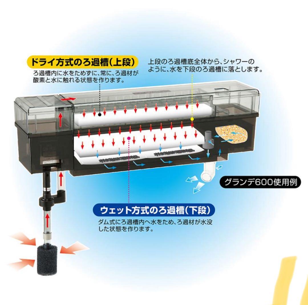 引取り希望　GEX DUAL CLEAN 600 水槽 フィルター付き