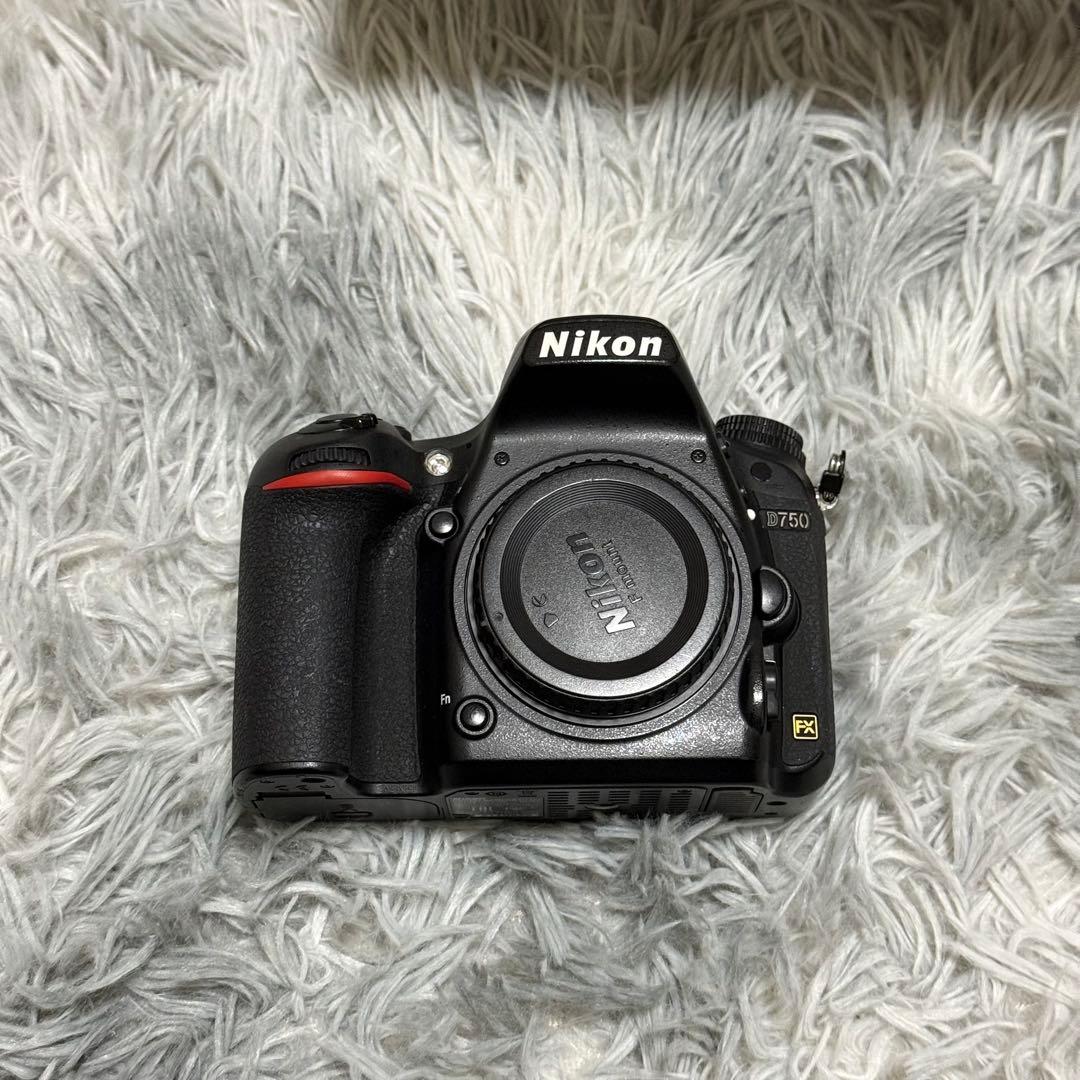 Nikon D750 24-120 4G VR レンズキット