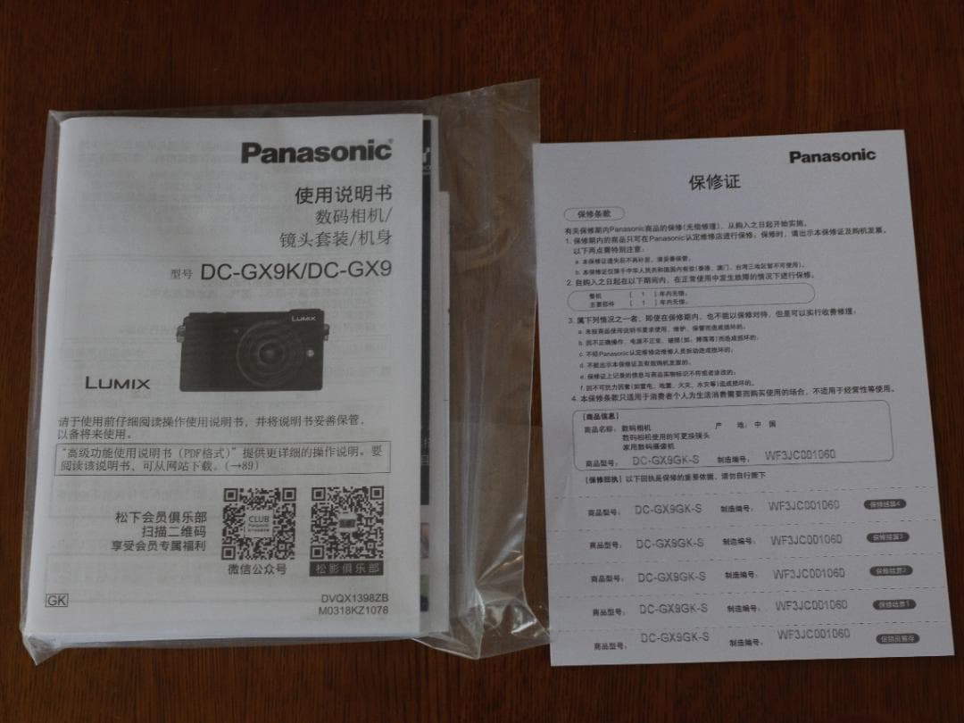 【24年5月購入・日本語OK】LUMIX DC-GX9 シルバー（海外モデル）