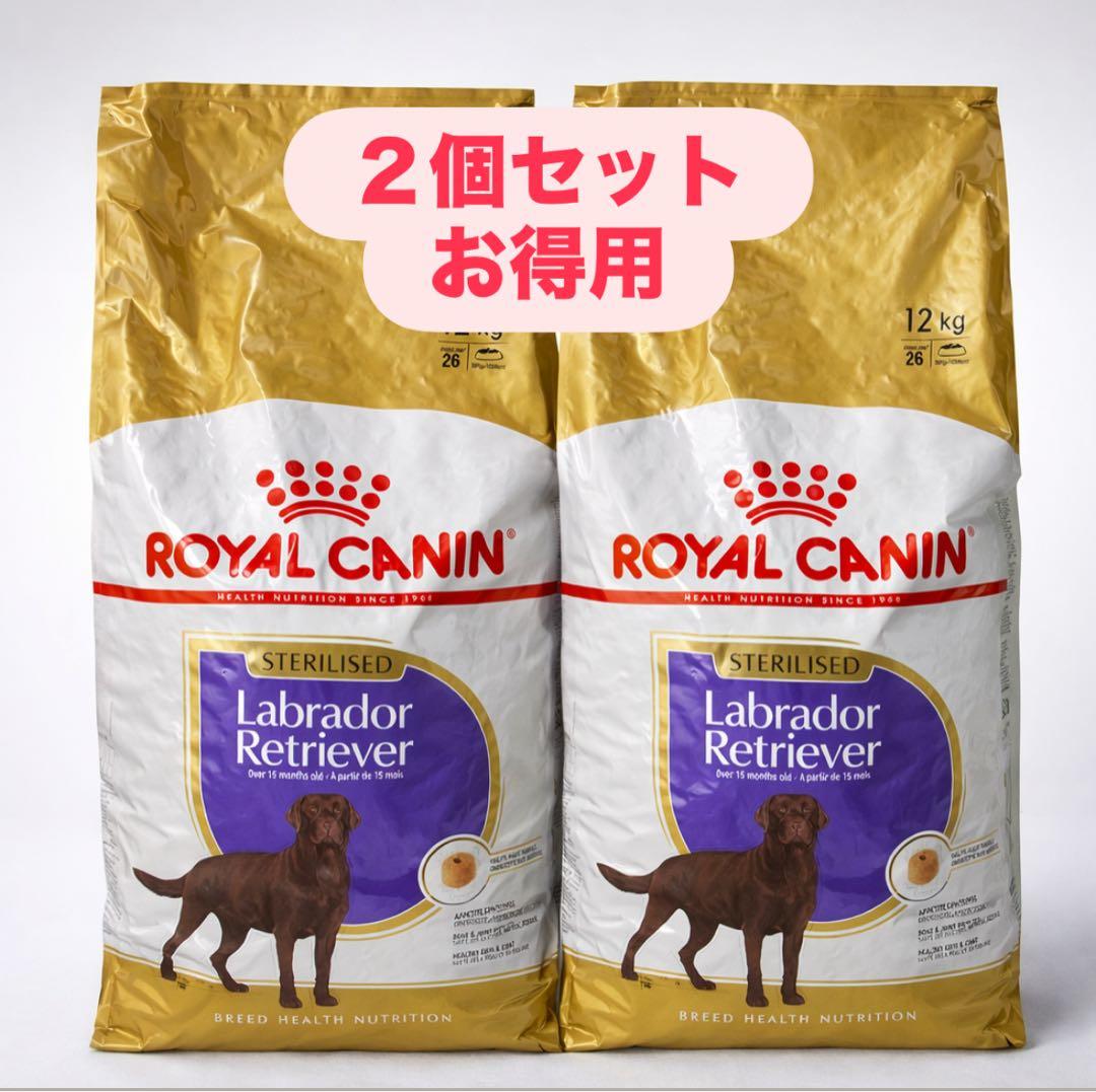 アオムラサキ