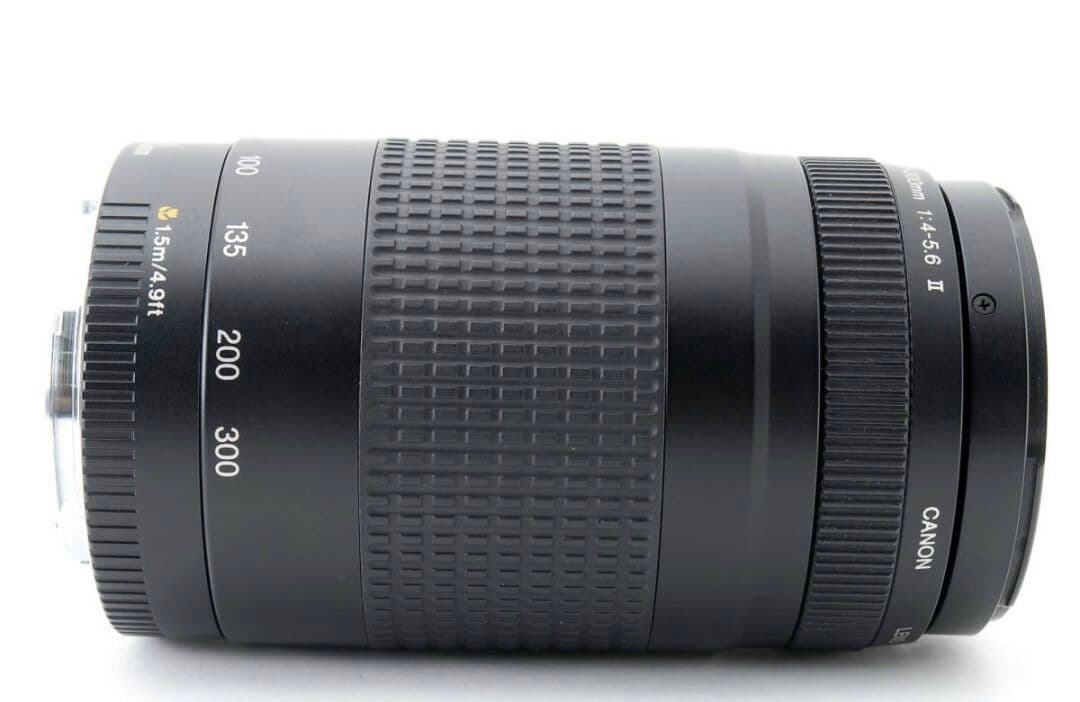 2月24日限定お値下げ【超望遠レンズ】Canon EF 75-300mm Ⅱ