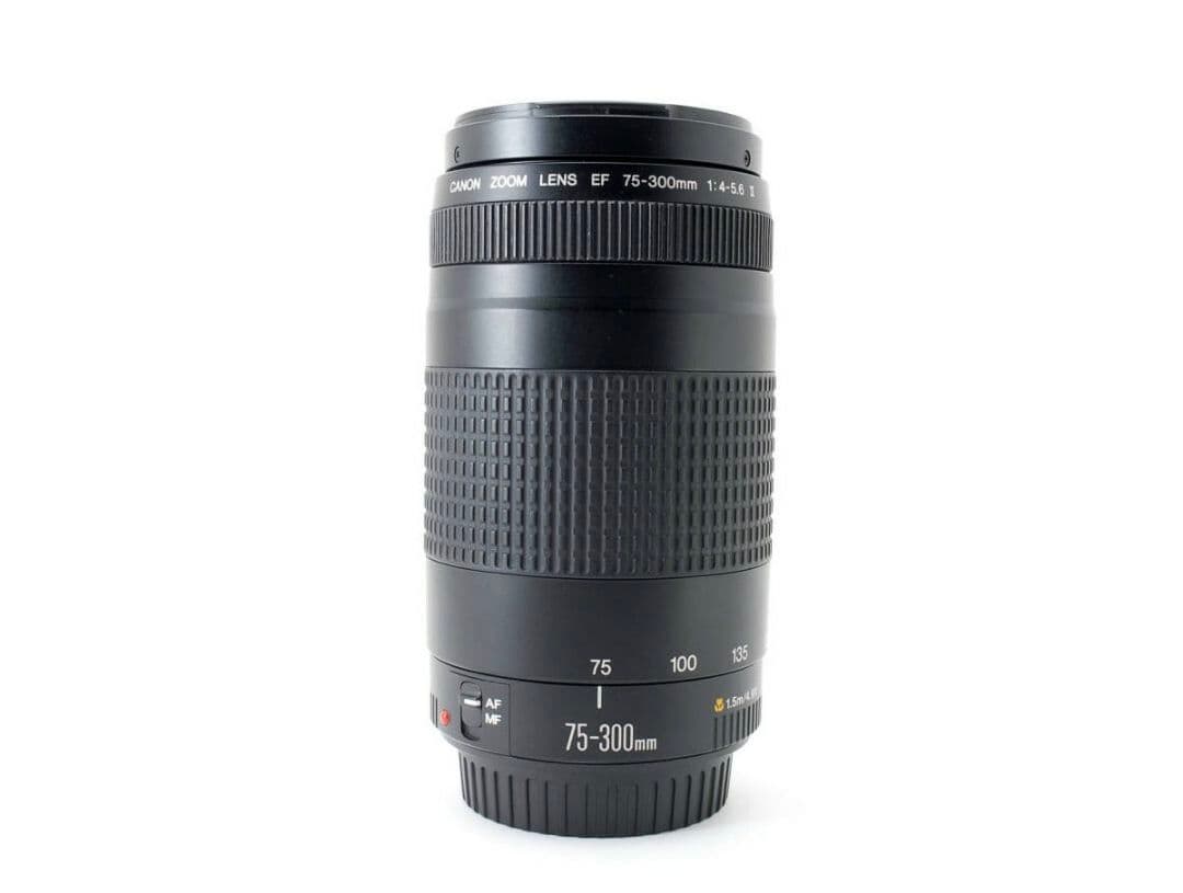 2月24日限定お値下げ【超望遠レンズ】Canon EF 75-300mm Ⅱ