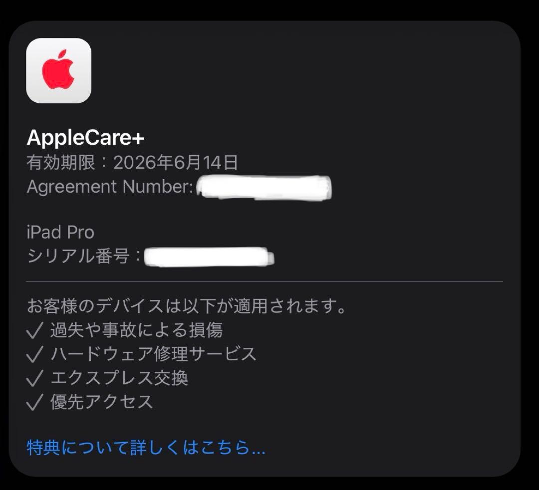 Apple Care+残有り 新品同様 M4 iPad Pro 11 シルバー