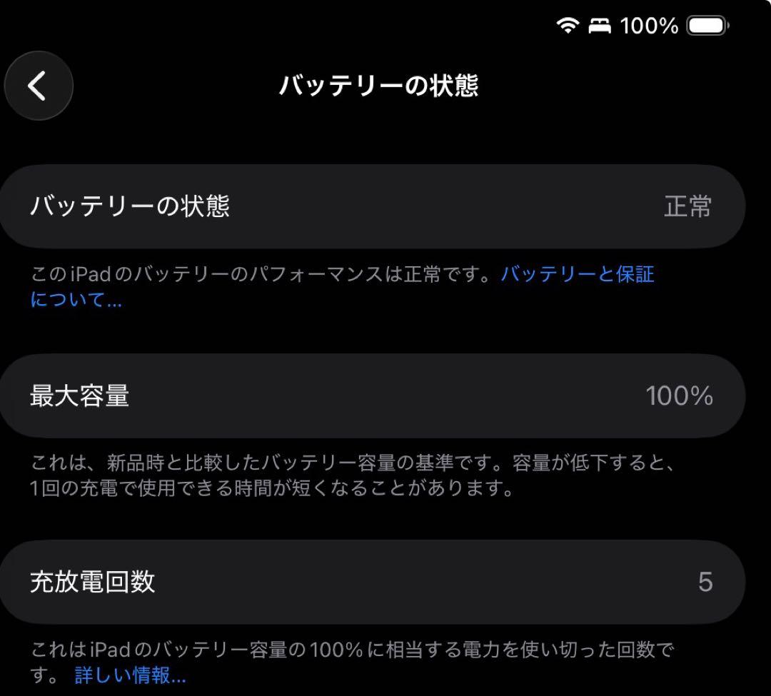 Apple Care+残有り 新品同様 M4 iPad Pro 11 シルバー