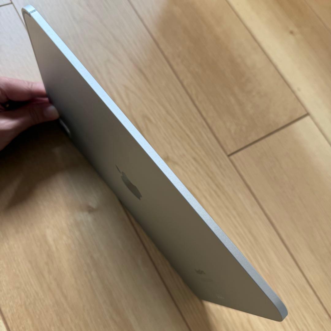Apple Care+残有り 新品同様 M4 iPad Pro 11 シルバー